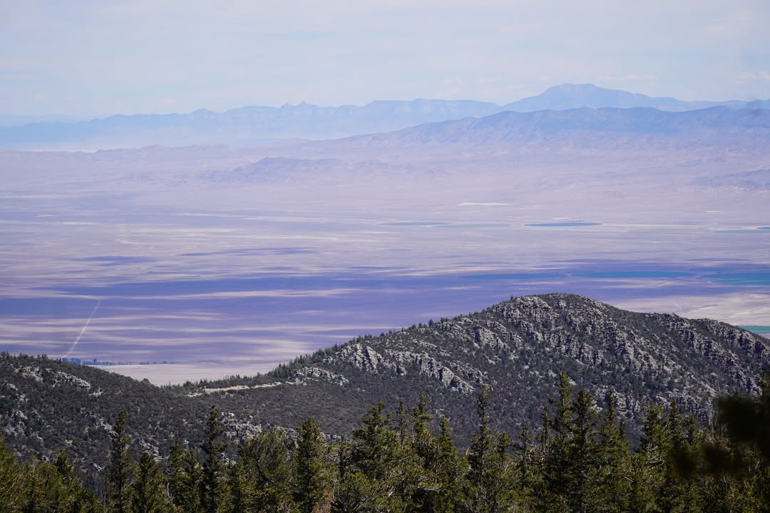 Along Bristlecone Trail