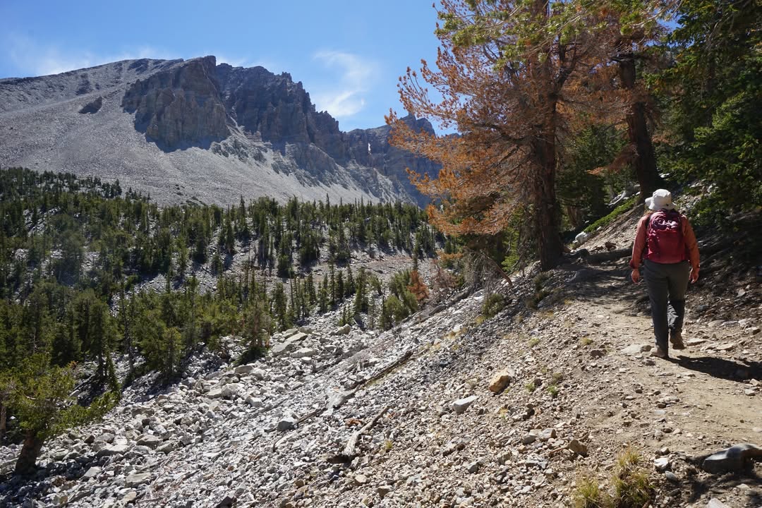 Bristlecone Trail