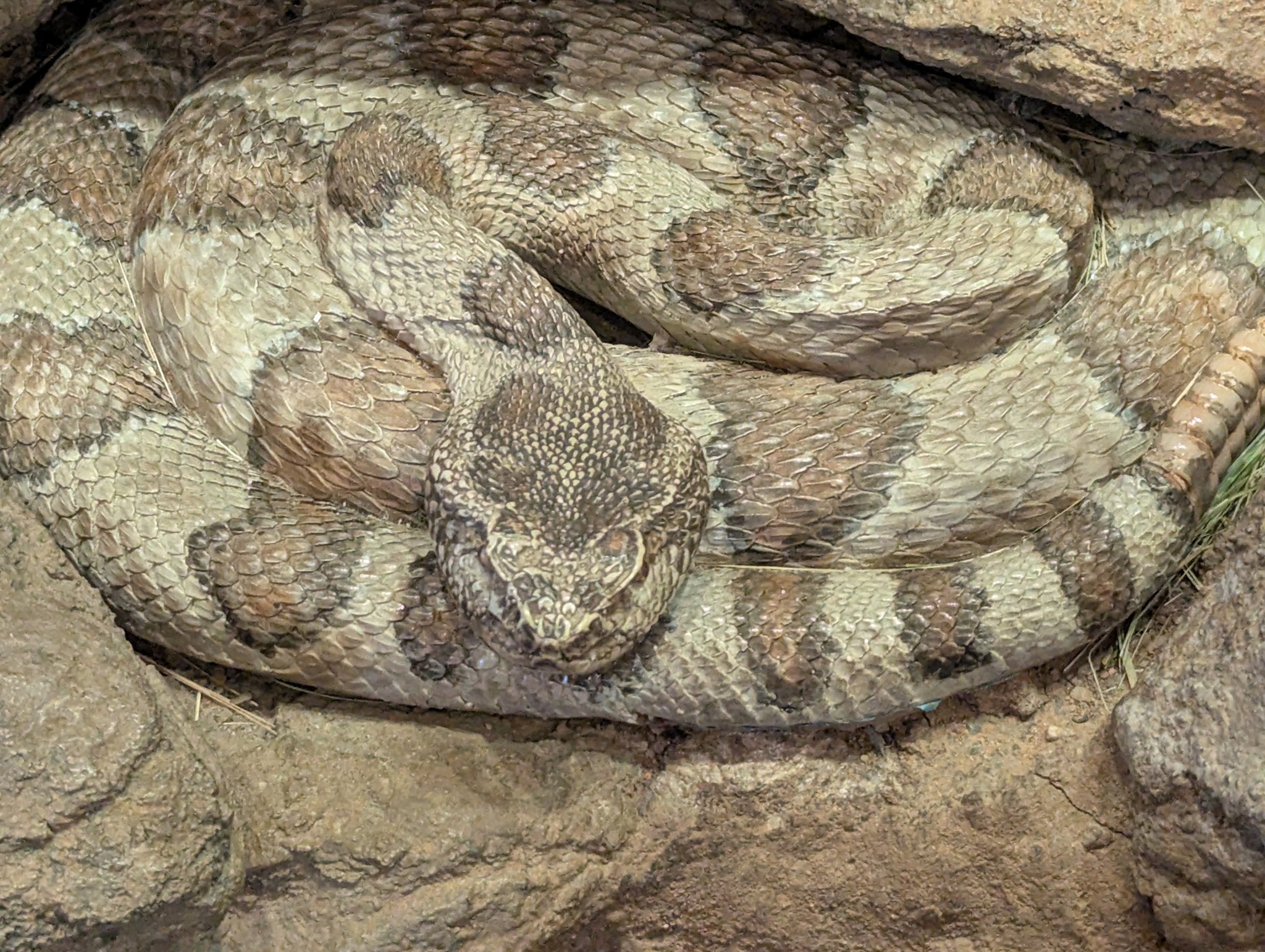 Great Basin Visitor Center