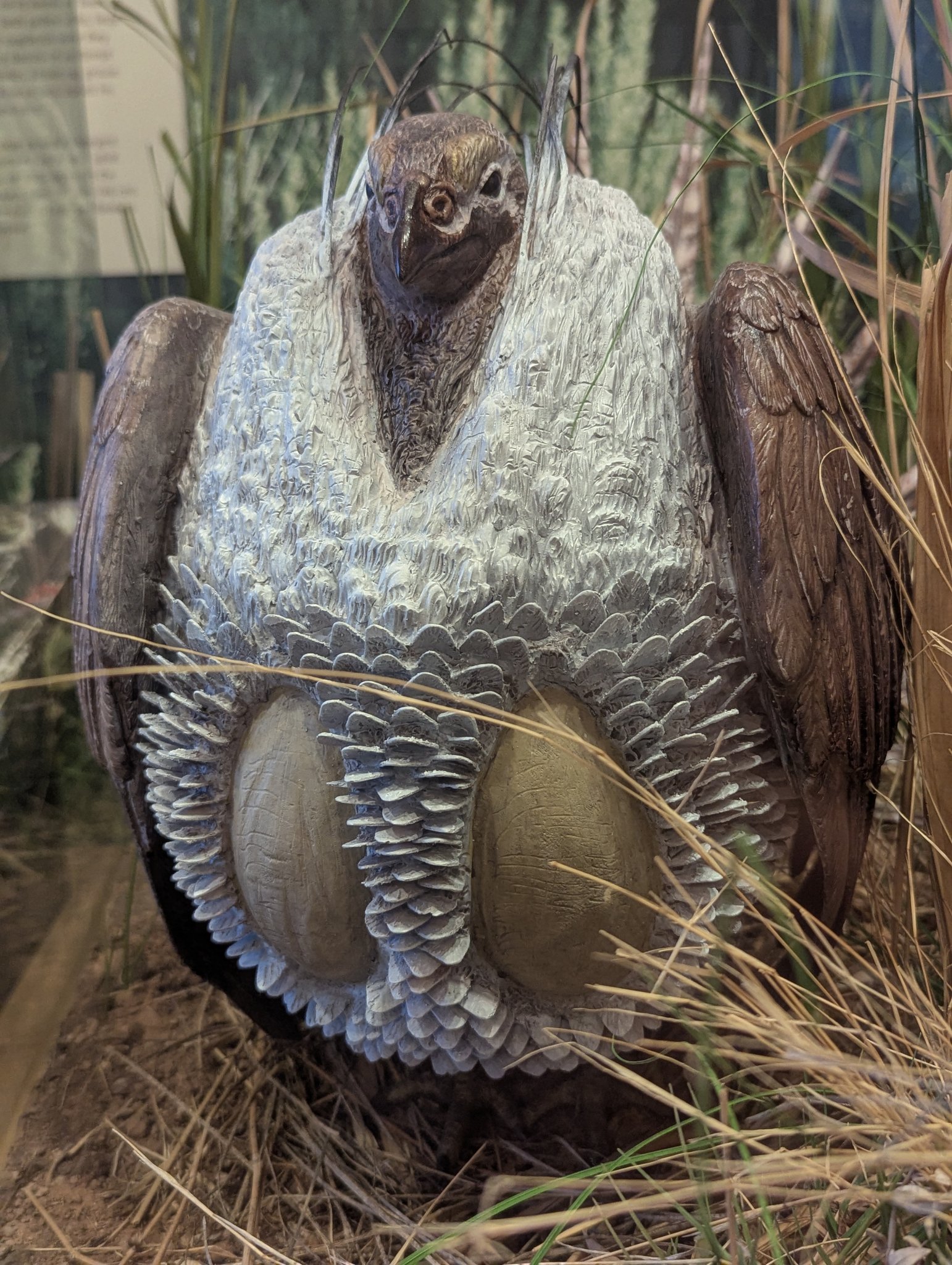 Great Basin Visitor Center