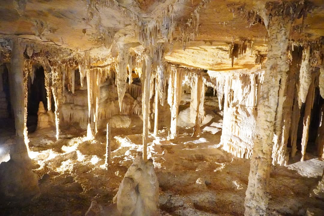 Lehman Caves