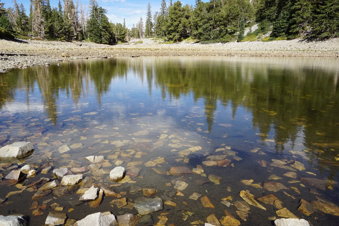 Teresa Lake on Alpine Lake Trail