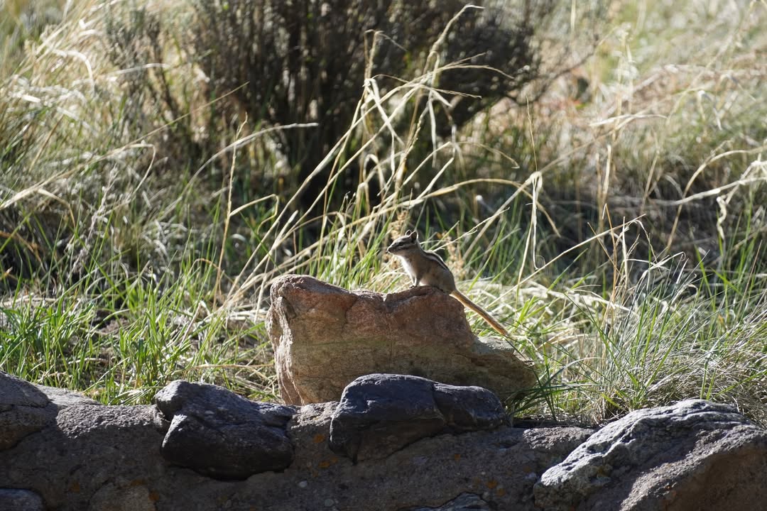 Great Sand Dunes National Park, CO