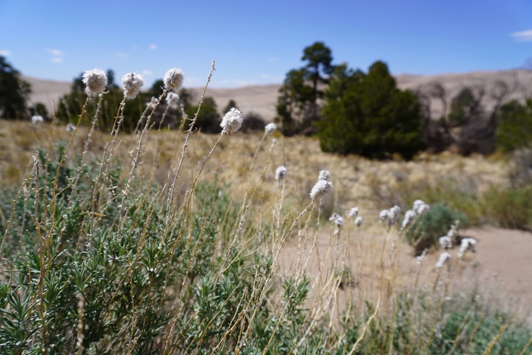 Great Sand Dunes National Park, CO