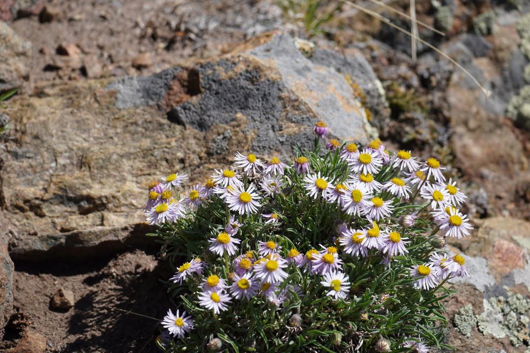 Great Sand Dunes National Park, CO