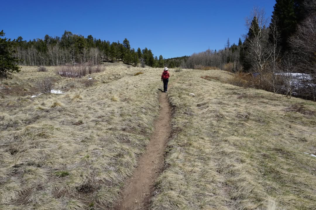 Near the End of Mosca Pass Trail