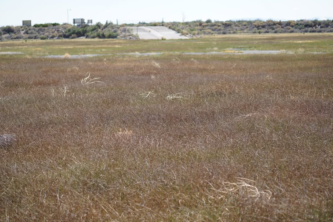 San Luis Lakes State Wildlife Area Boat Ramp