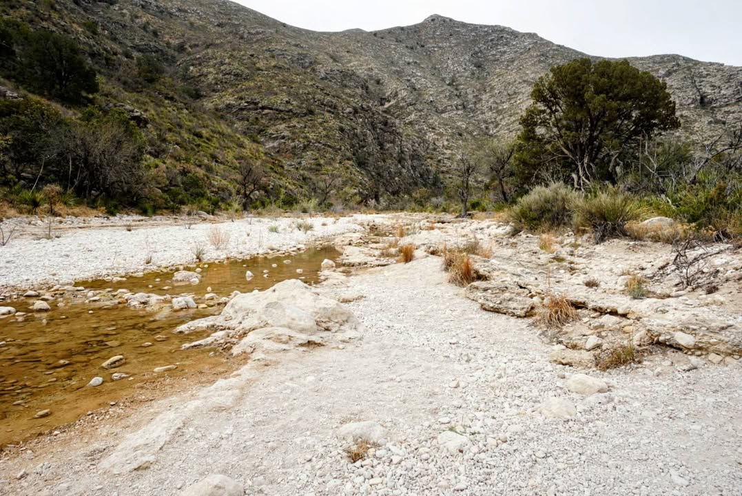 McKittrick Canyon Trail