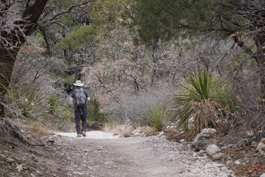 McKittrick Canyon Trail