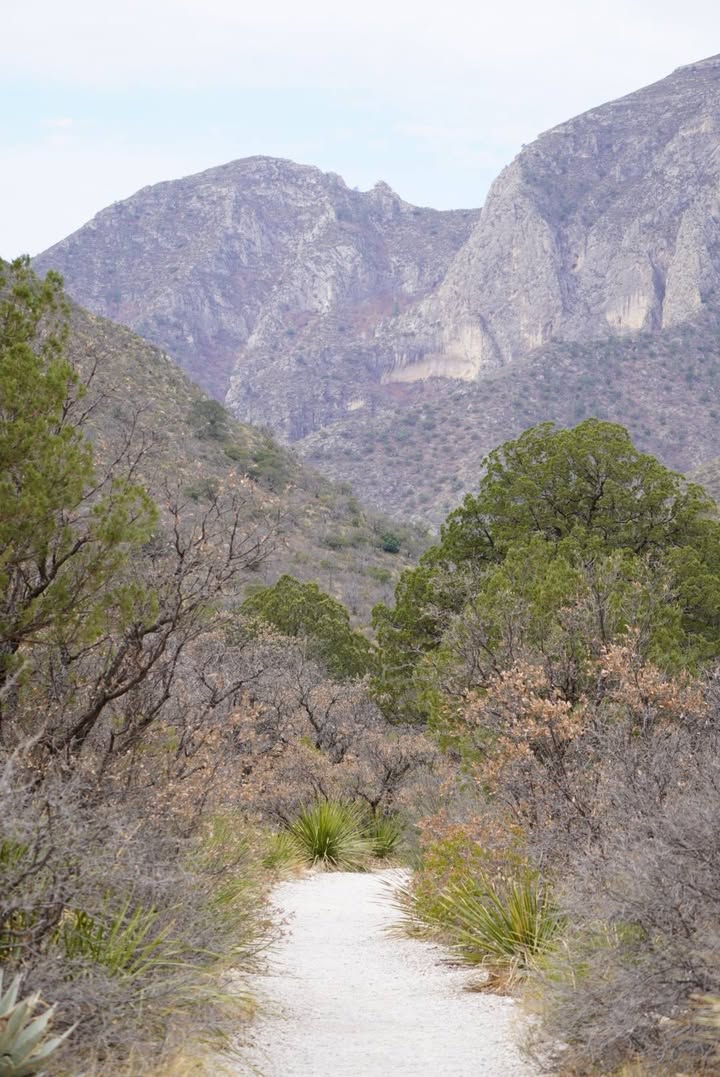McKittrick Canyon Trail