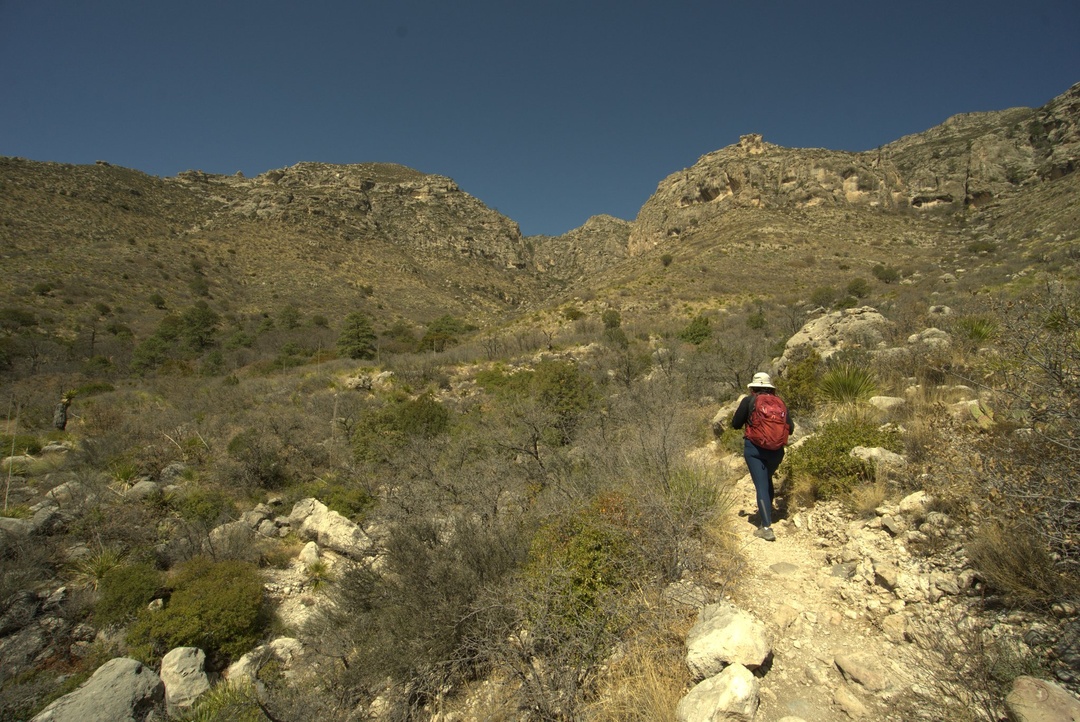 McKittrick Canyon Trail