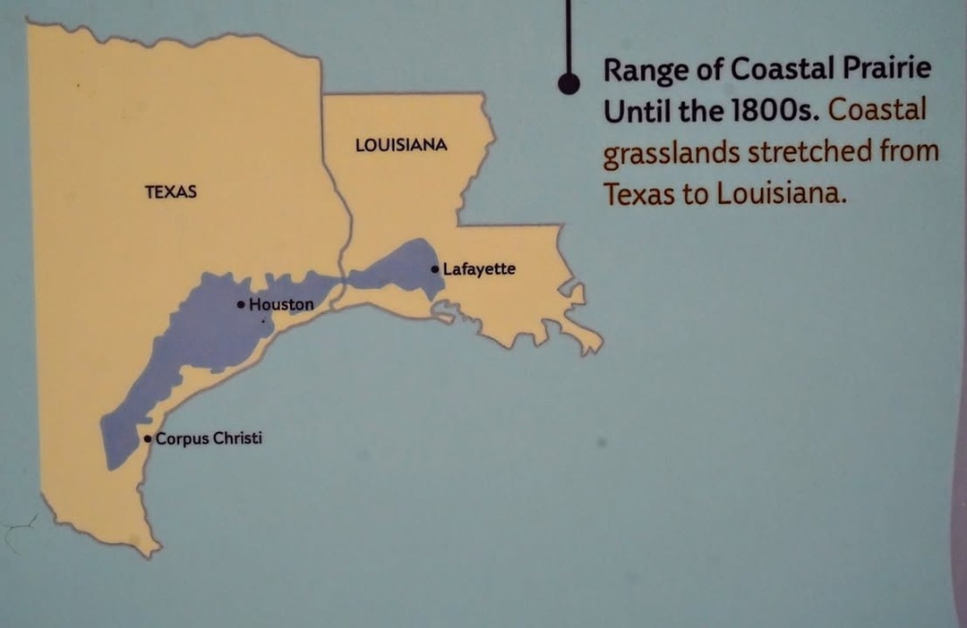 Coastal Prairie Range Display