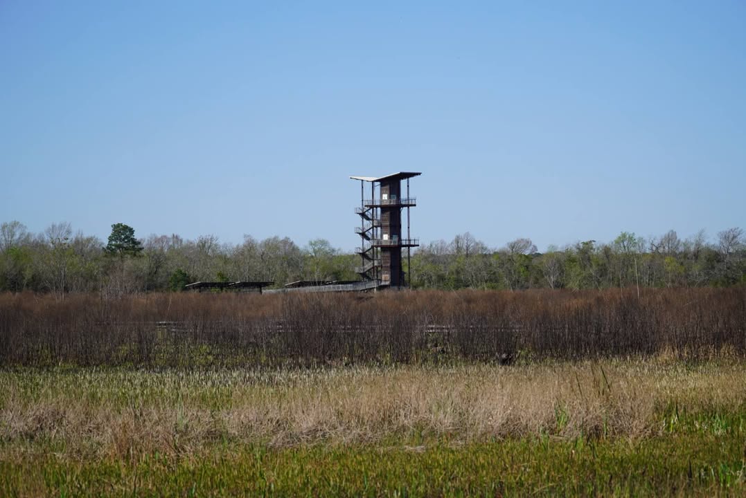 Lookout Tower at Sheldon Lake State Park