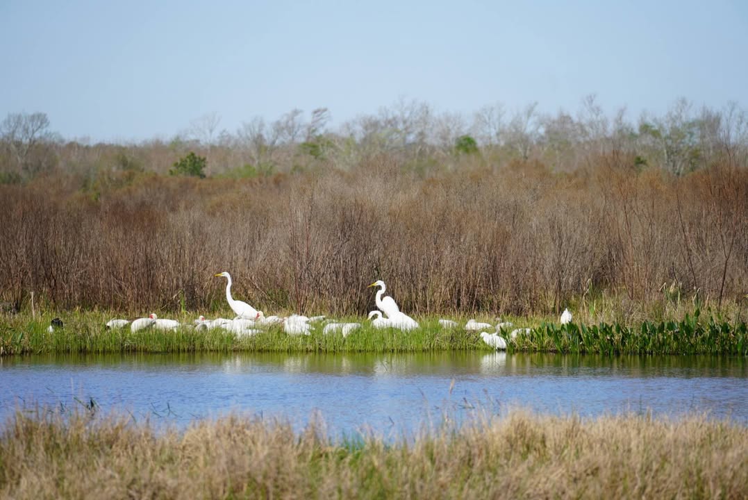 Sheldon Lake State Park