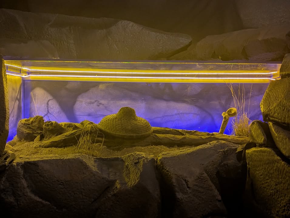 Kartchner Caverns, AZ