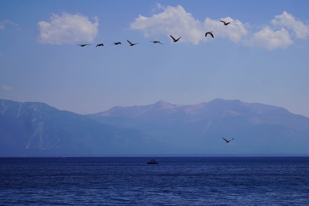 Lake Tahoe from Sugar Pine Point State Park