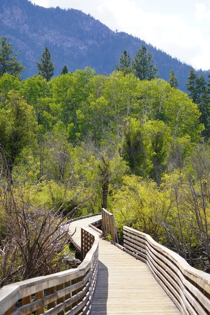 Taylor Creek Rainbow Trail