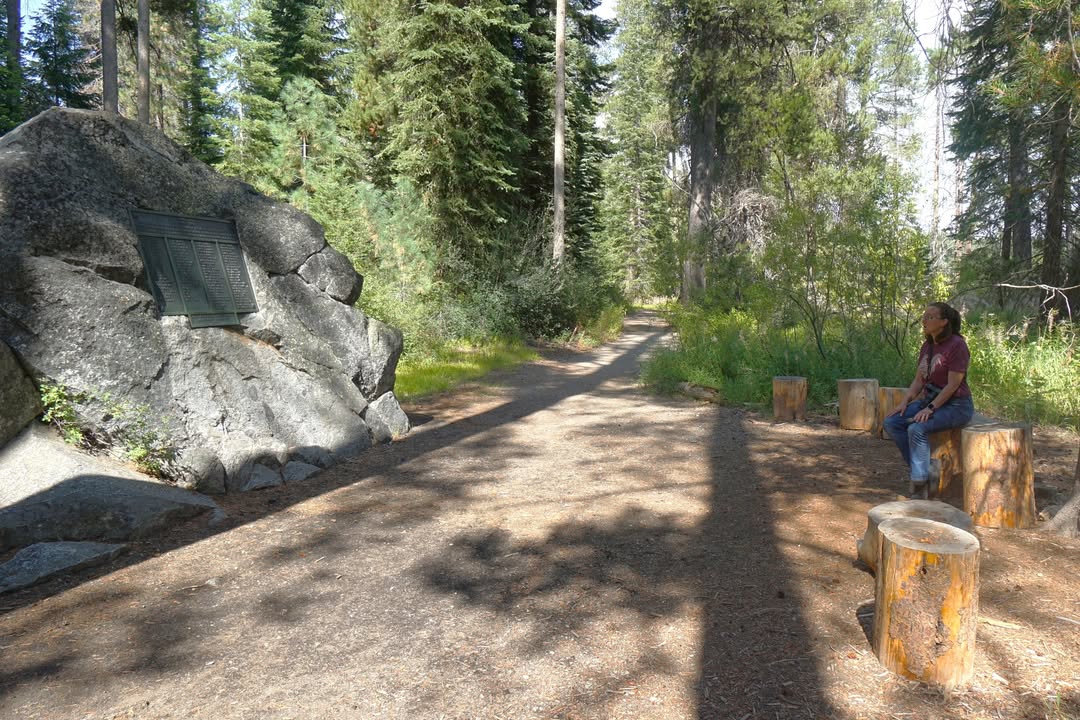 Murphy cabin site Donner Memorial State Park