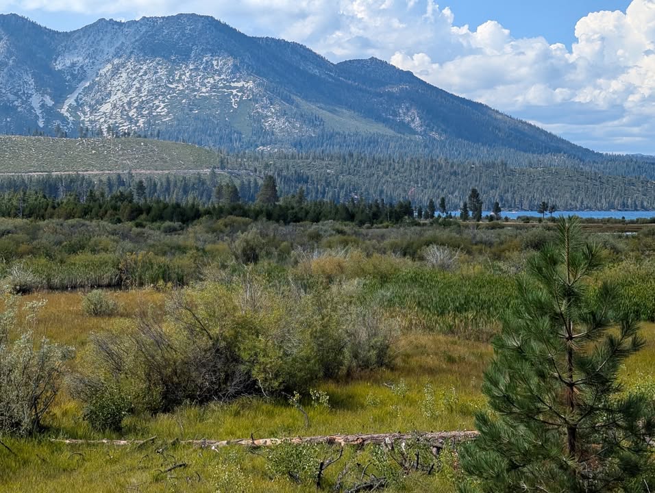Taylor Creek Rainbow Trail