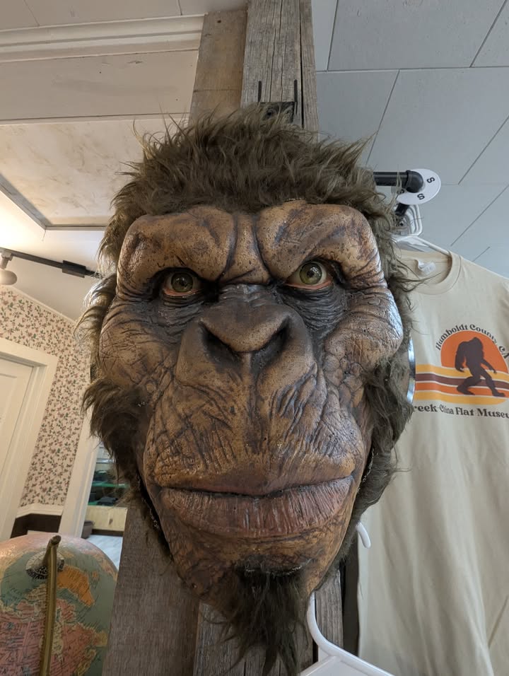 Bigfoot Museum