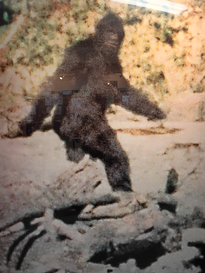 Bigfoot Museum