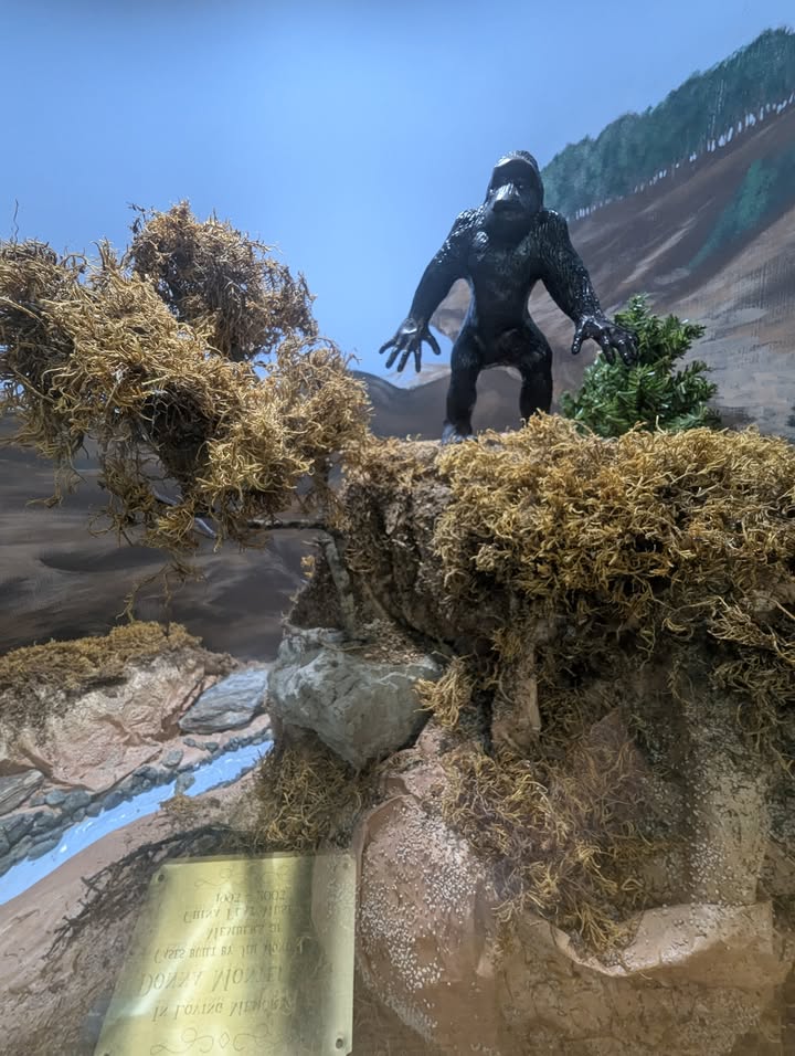 Bigfoot Museum