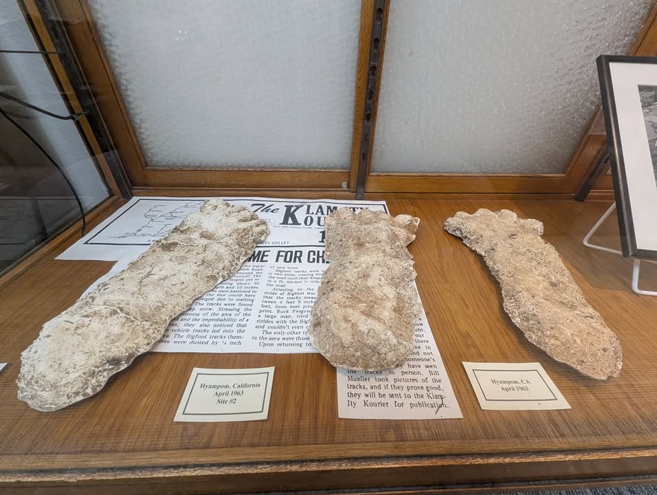 Bigfoot Museum Footprint Casts