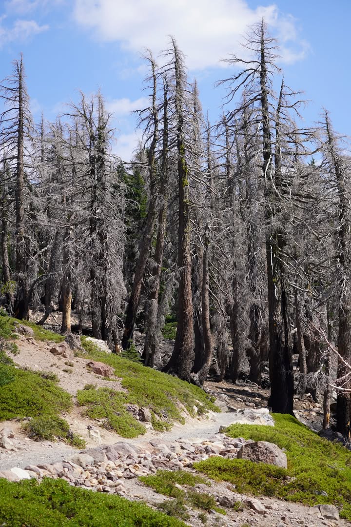 Bumpass Hell Trail