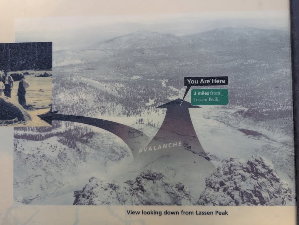 Devastation Area Trail avalanche path display