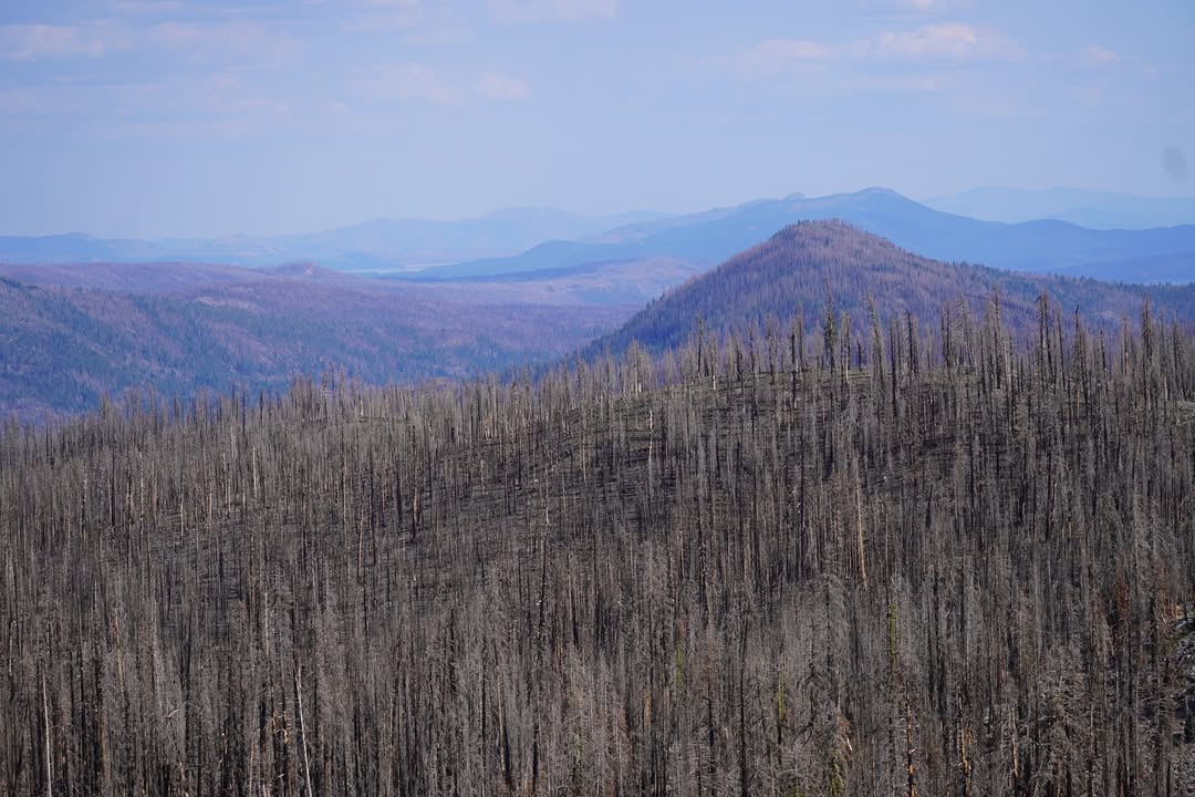 Kings Creek Falls Trail