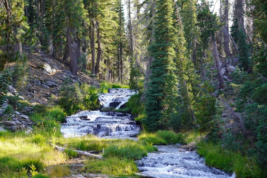 Kings Creek Falls Trail