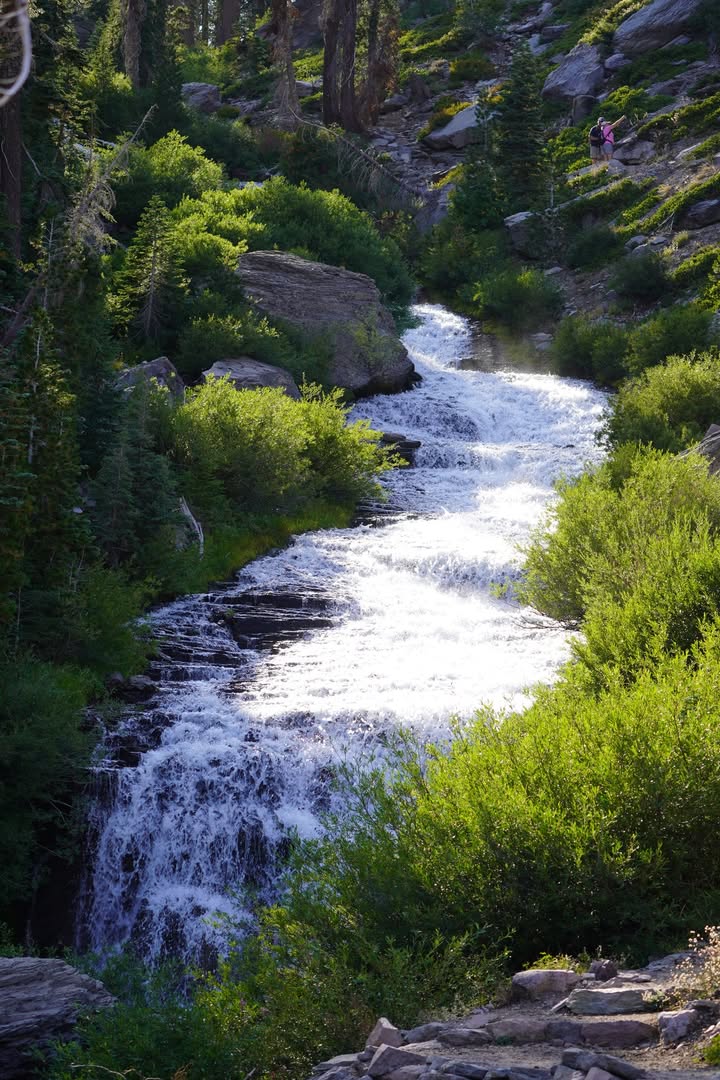 Kings Creek Falls Trail