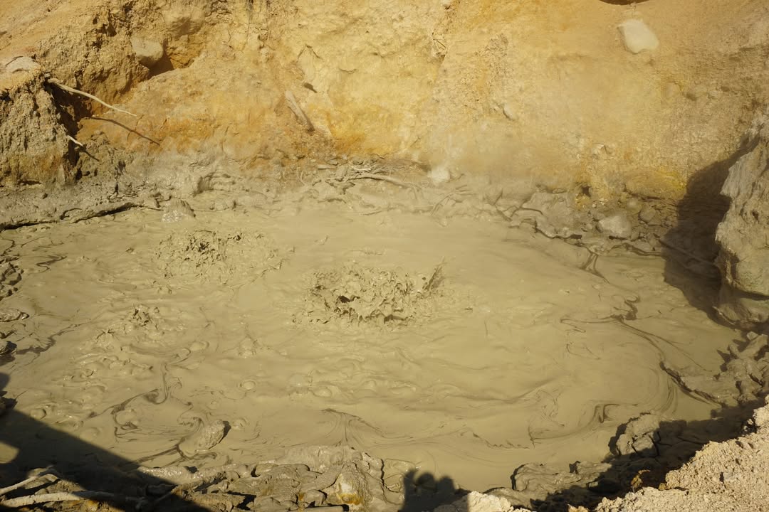 Sulphur Works bubbling mud pot