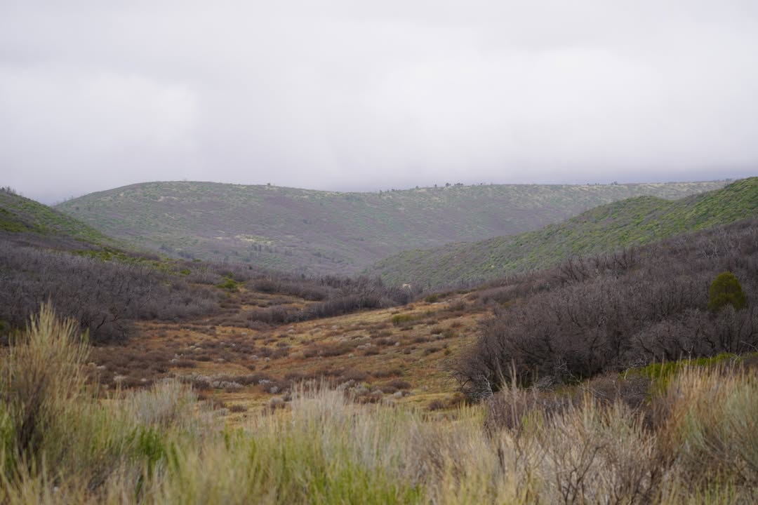 Mesa Verde National Park, CO