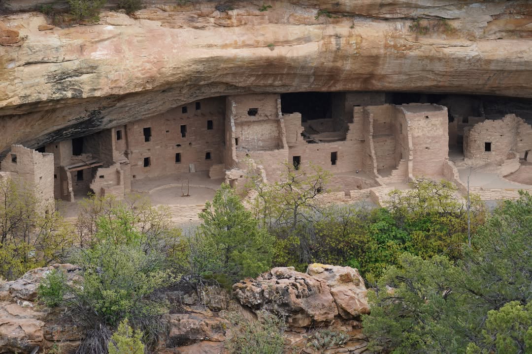 Cliff Palace.