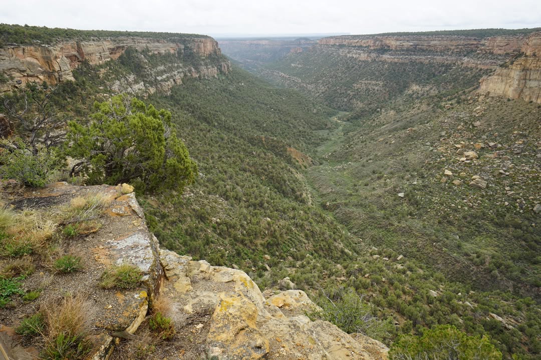 Mesa Verde