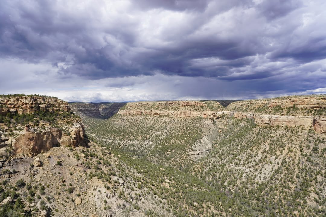 Mesa Verde views