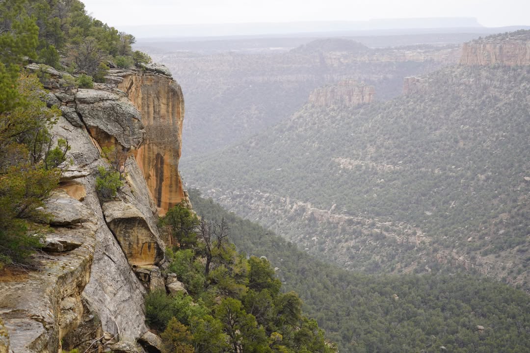 Mesa Verde Views