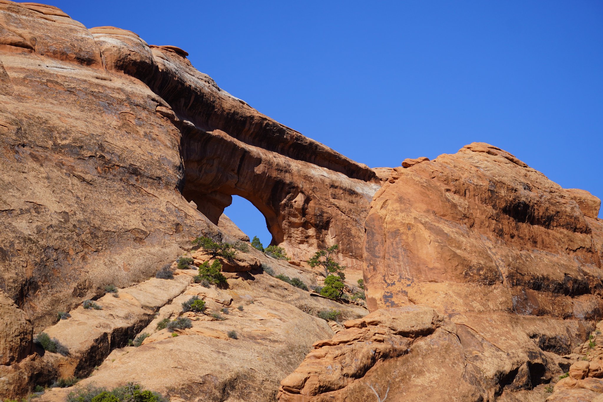 An Arch Being Formed