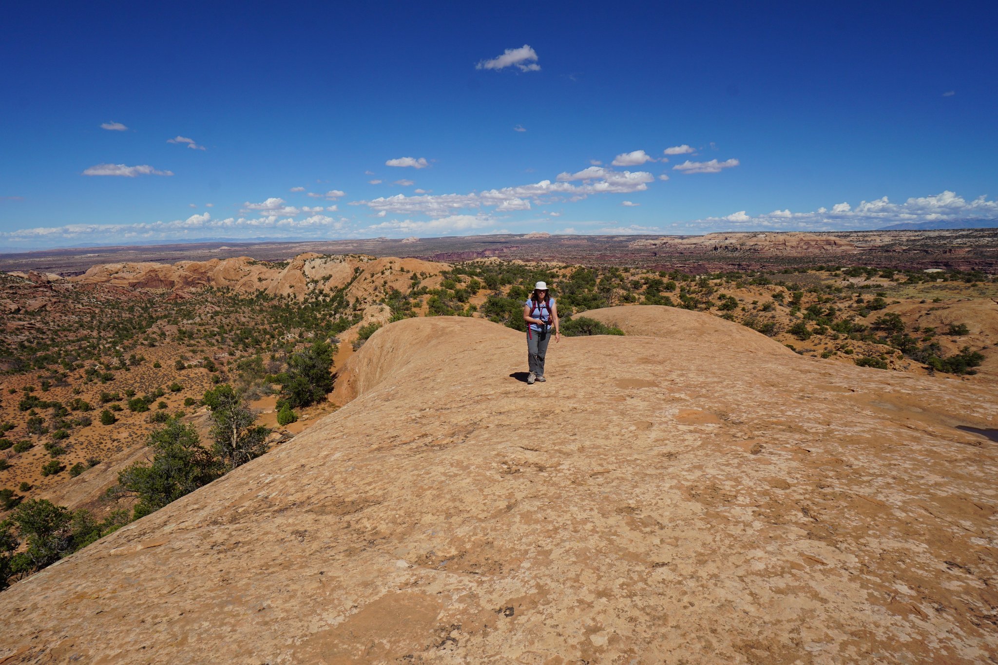 Atop Whale Rock