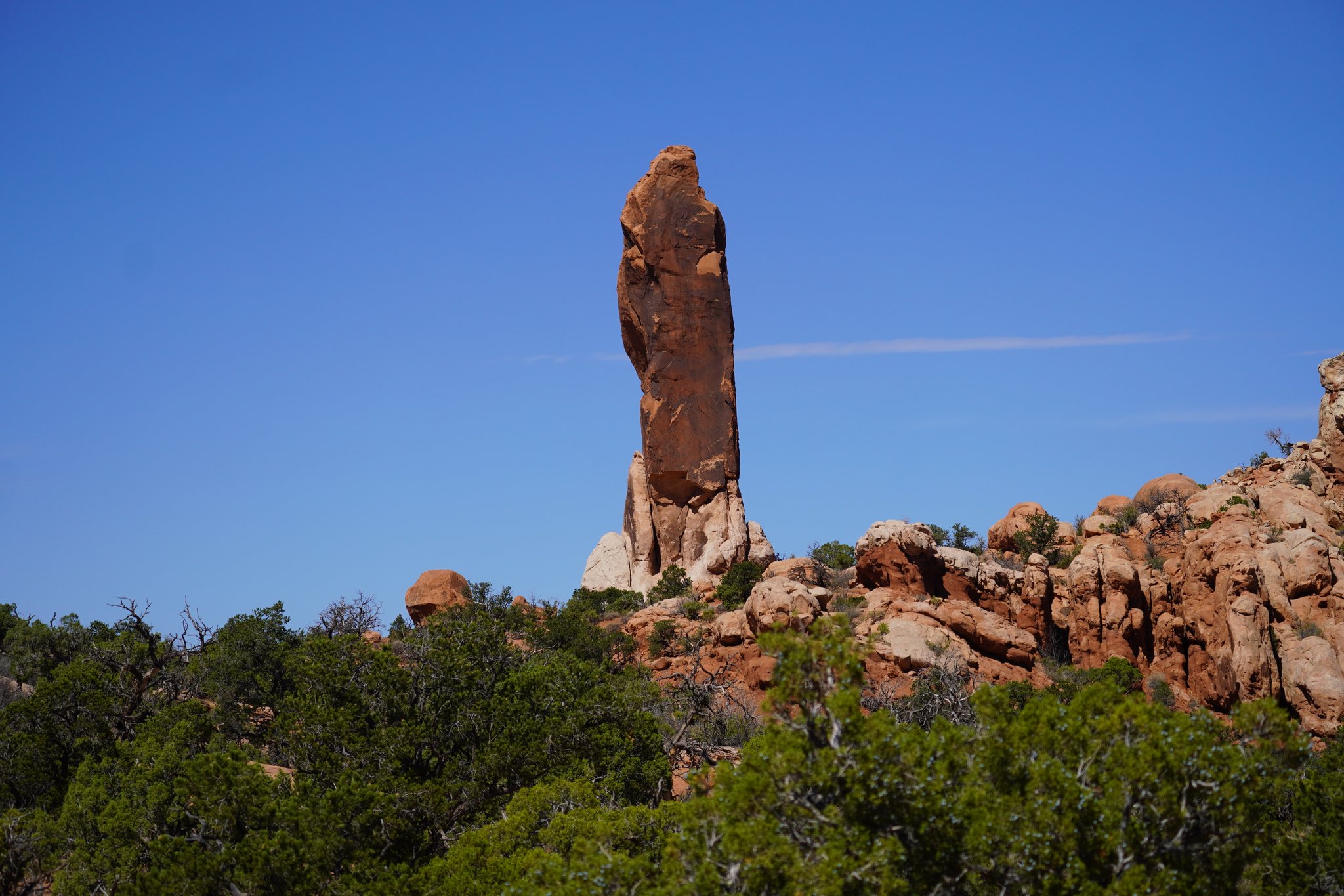 Dark Angel from Afar