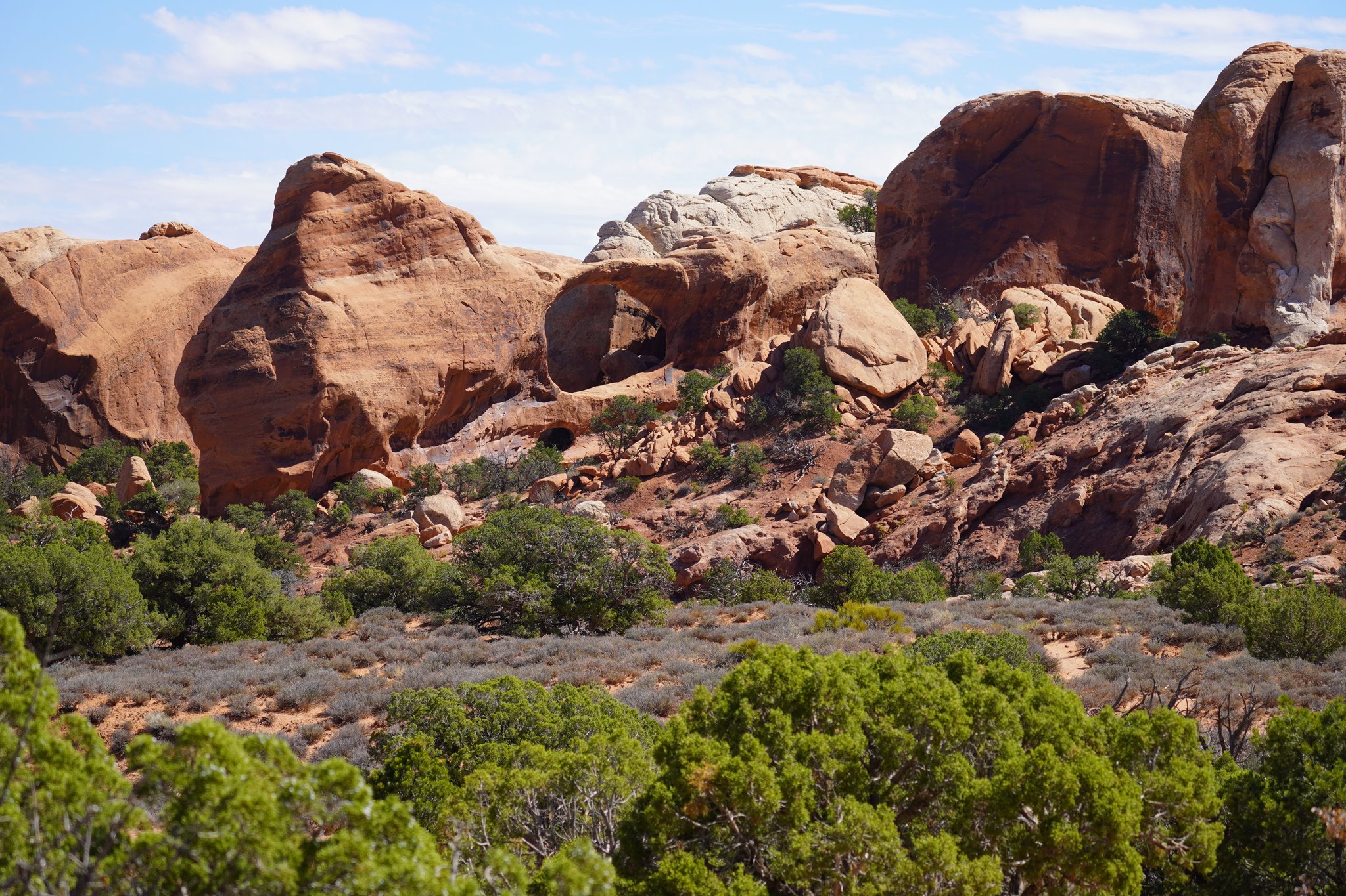 Double O Arch from afar
