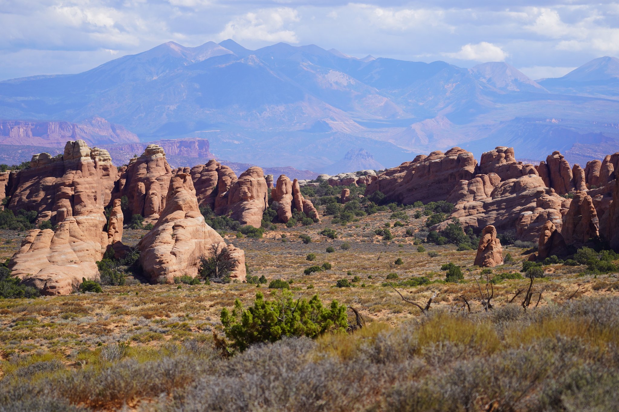 Final Stretch of the Primitive Trail