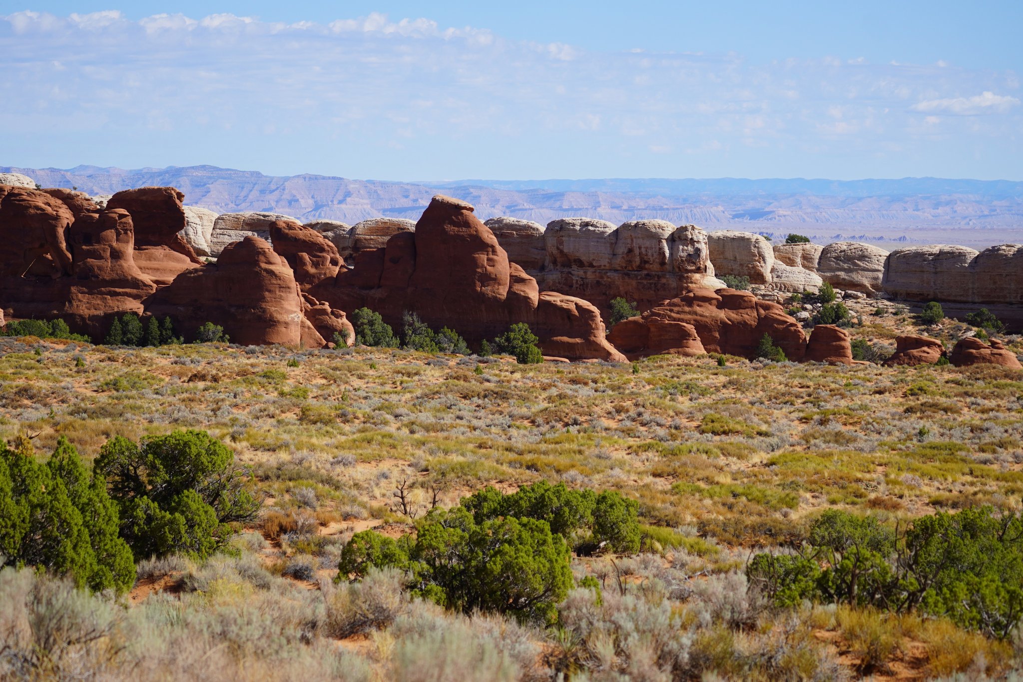 Final Stretch of the Primitive Trail