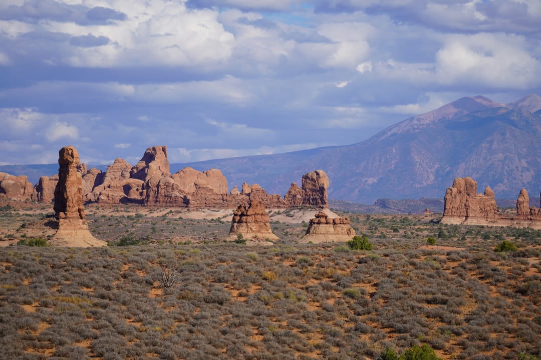 From the Petrified Dunes Viewpoint