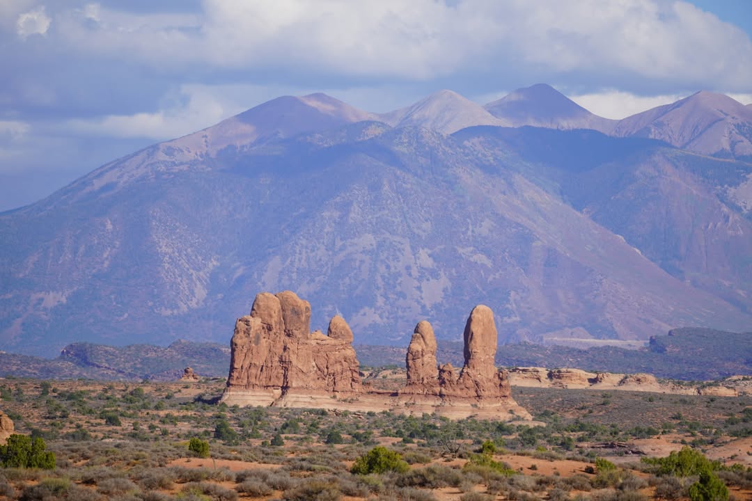 From the Petrified Dunes Viewpoint