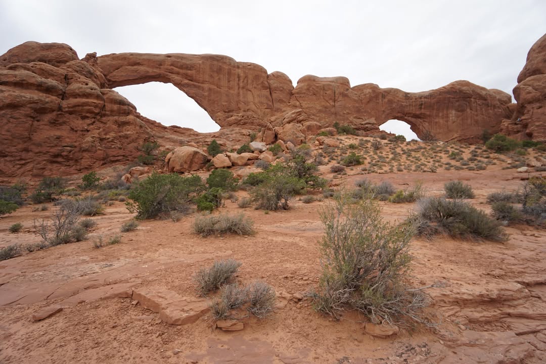 North and South Window