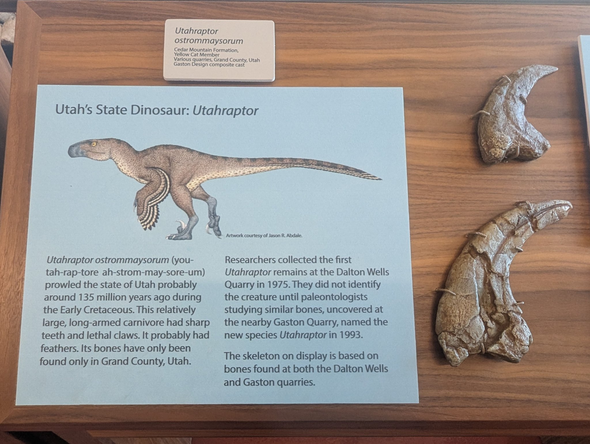 Utahraptor Exhibit