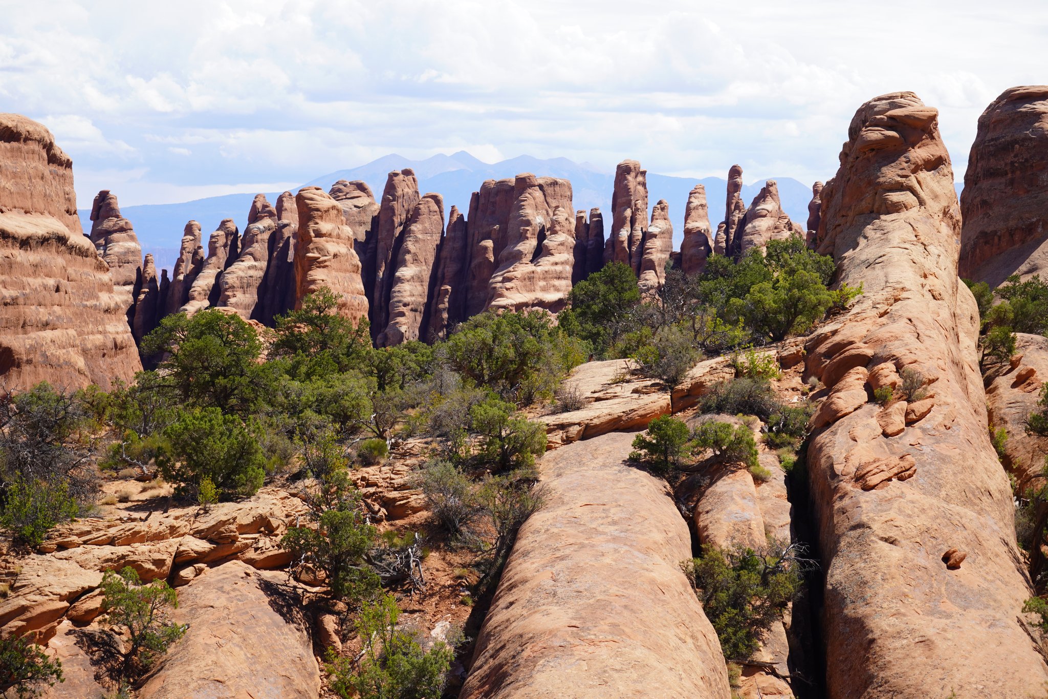 Views from Primitive Trail