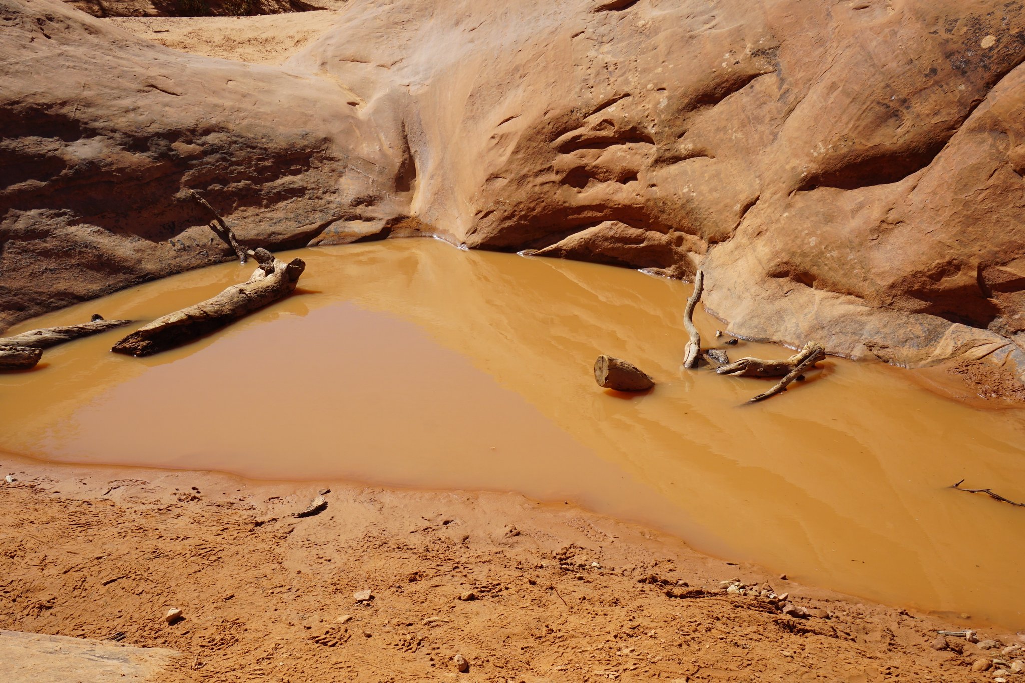 Water Blocking the Path on Primitive Trail